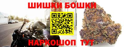 прущие грибы Апшеронск