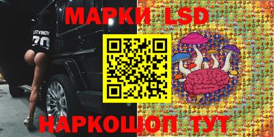 прущие грибы Апшеронск