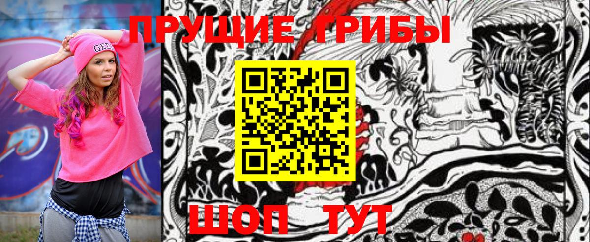 Большой Камень  Галлюциногенные грибы Psilocybe  Вход с VPN 